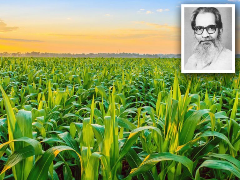 The Father of Crop Insurance in India
