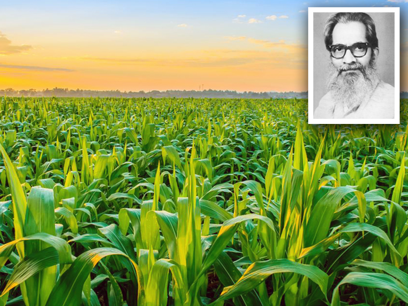 The Father of Crop Insurance in India