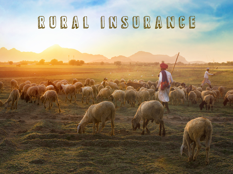 Is rural insurance the way ahead for insurance sector?